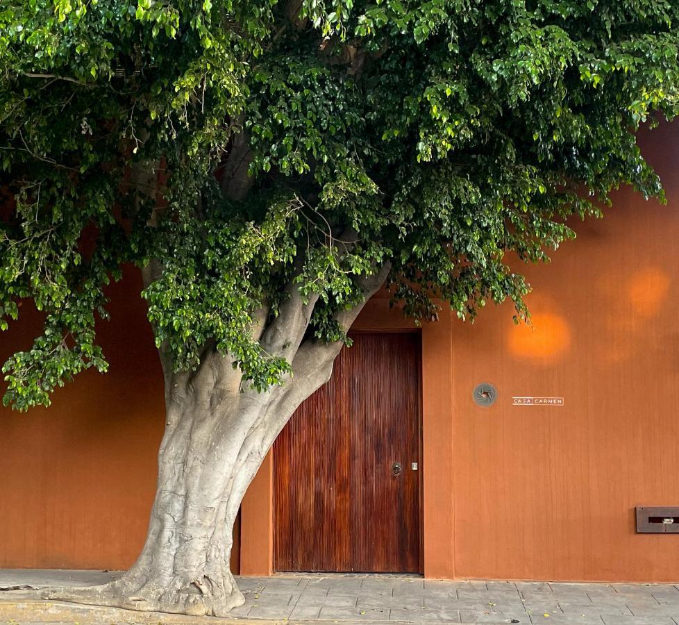 Casa Carmen Reforma Oaxaca Exterior foto