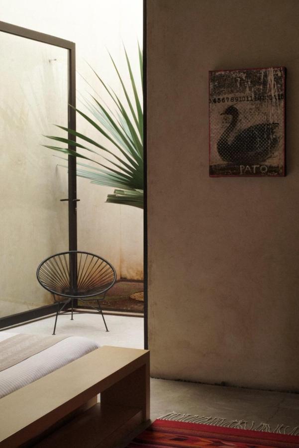 Casa Carmen Reforma Oaxaca Exterior foto