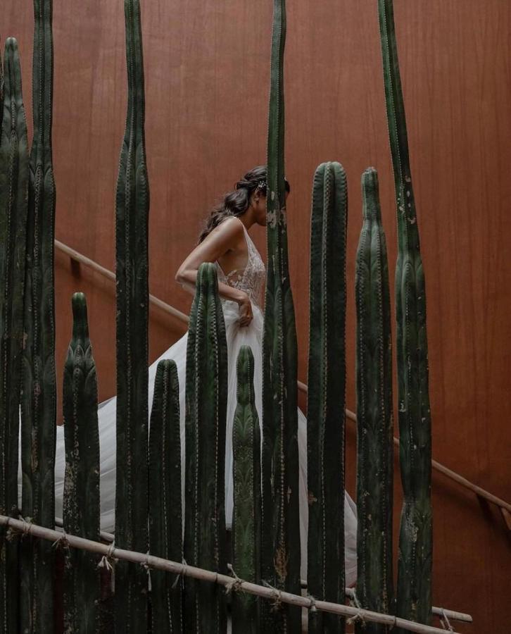 Casa Carmen Reforma Oaxaca Exterior foto