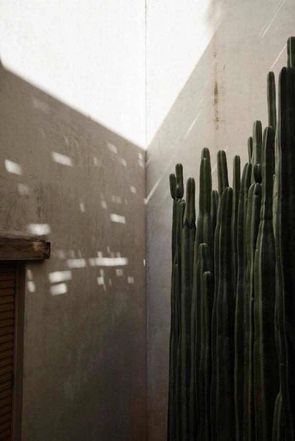 Casa Carmen Reforma Oaxaca Exterior foto